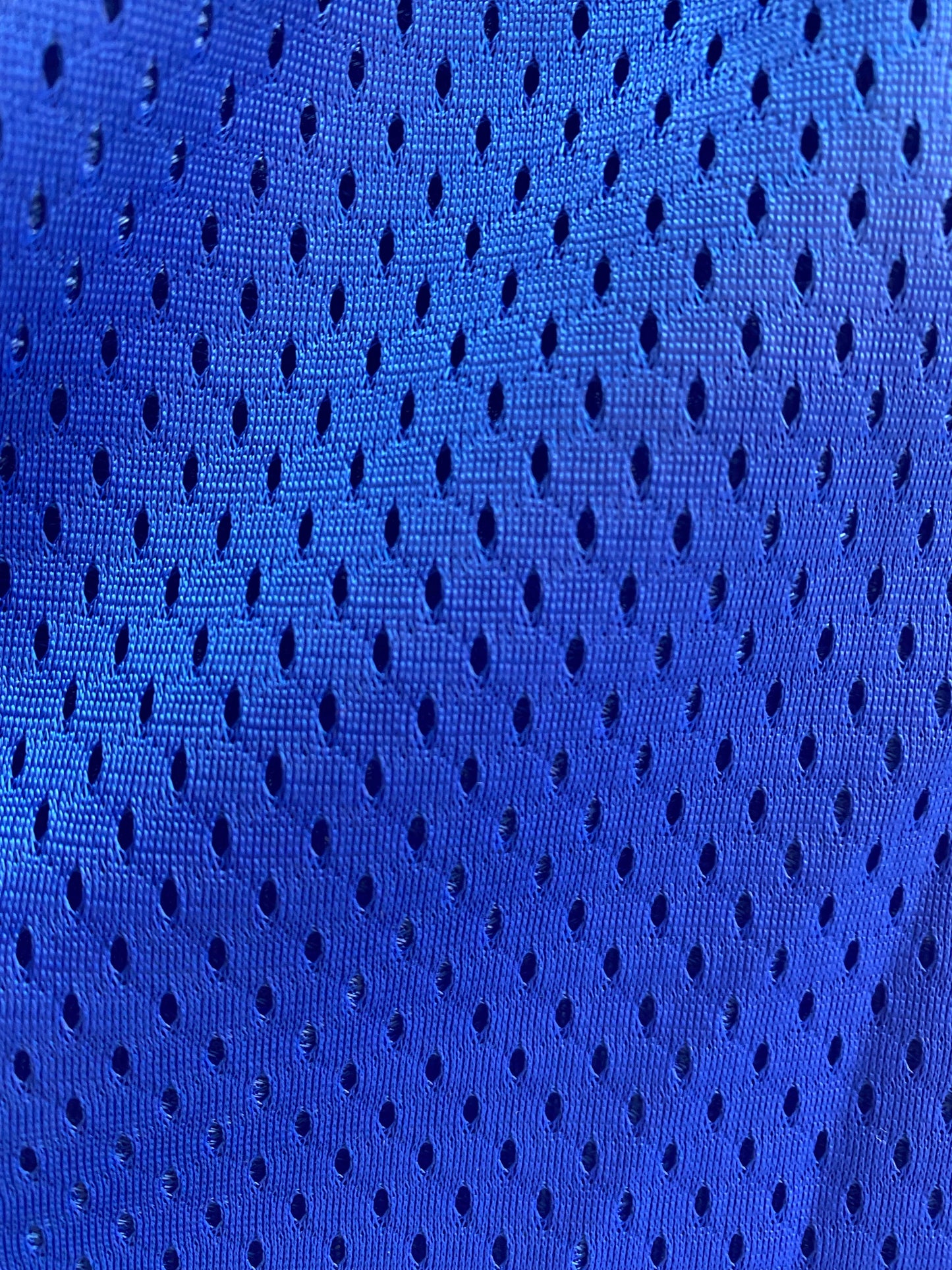 Champion Women’s Mesh Short - Whitt & Co. Clothing